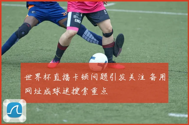 世界杯直播卡顿问题引发关注 备用网址成球迷搜索重点