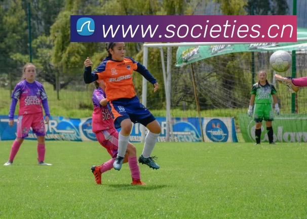 世界杯直播入口官网品牌故事