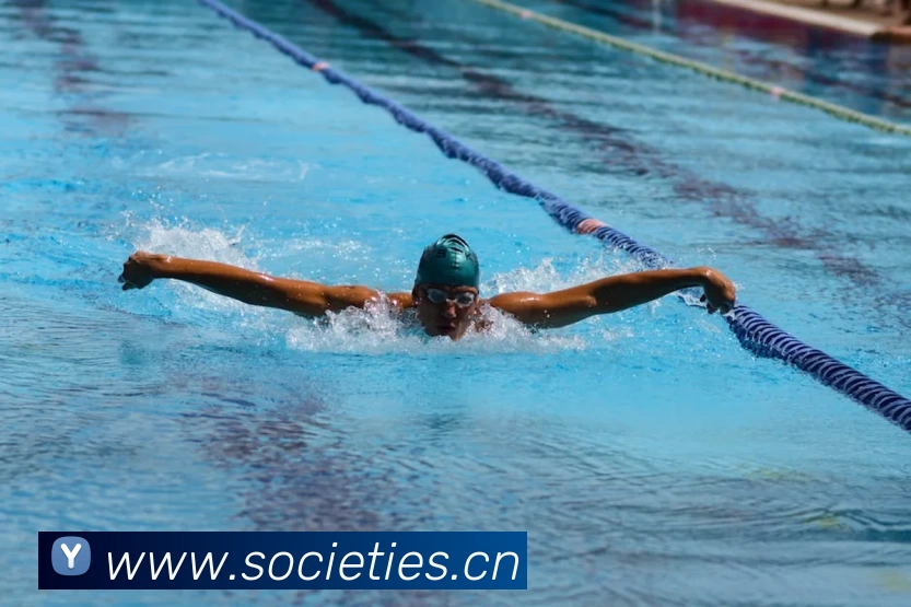 世界杯直播入口官网服务体系